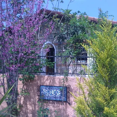 Fig Garden Tatil Evi Kayaköy