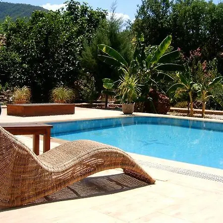 Tatil Evi Fig Garden *