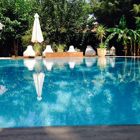 Tatil Evi Fig Garden *