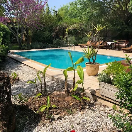 Vakantiehuis Fig Garden *